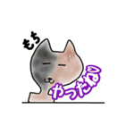 サビ猫キメラちゃんの年末年始スタンプ！（個別スタンプ：8）