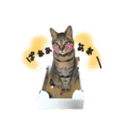 にゃんともかわいいキジトラ猫の小虎くん（個別スタンプ：26）