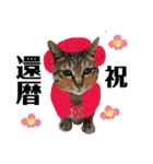 にゃんともかわいいキジトラ猫の小虎くん（個別スタンプ：27）