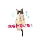 てんねこ日和☺︎（個別スタンプ：5）