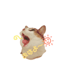 てんねこ日和☺︎（個別スタンプ：7）