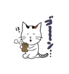 ねこのみっちースタンプ 年末年始ご挨拶（個別スタンプ：6）