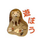 秋田犬もこの年末年始のご挨拶（個別スタンプ：14）