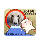 ダックス(クッキー)の2019年スタンプ（個別スタンプ：5）