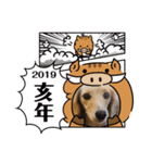 ダックス(クッキー)の2019年スタンプ（個別スタンプ：6）