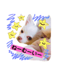 らぷーーた♡（個別スタンプ：1）