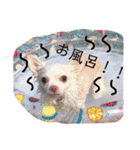 らぷーーた♡（個別スタンプ：2）