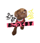 らぷーーた♡（個別スタンプ：3）