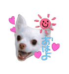 らぷーーた♡（個別スタンプ：6）