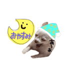 らぷーーた♡（個別スタンプ：13）