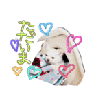 らぷーーた♡（個別スタンプ：18）