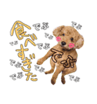 らぷーーた♡（個別スタンプ：19）