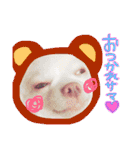 らぷーーた♡（個別スタンプ：21）