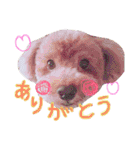 らぷーーた♡（個別スタンプ：28）