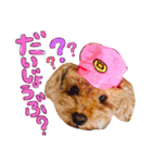 らぷーーた♡（個別スタンプ：29）