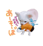 らぷーーた♡（個別スタンプ：33）