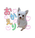 らぷーーた♡（個別スタンプ：35）