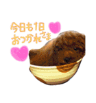 らぷーーた♡（個別スタンプ：36）
