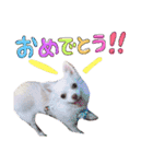 らぷーーた♡（個別スタンプ：40）