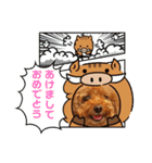 トイプーhana＆kuro年末年始バージョン（個別スタンプ：3）