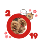 トイプーhana＆kuro年末年始バージョン（個別スタンプ：7）
