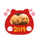 トイプーhana＆kuro年末年始バージョン（個別スタンプ：13）