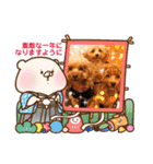 トイプーhana＆kuro年末年始バージョン（個別スタンプ：14）