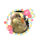 おかめりん（個別スタンプ：2）
