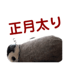 年越しリアルペンちゃん（個別スタンプ：5）
