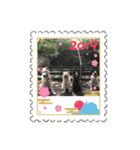 保護っ子スタンプ♡（個別スタンプ：1）