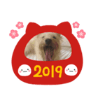 保護っ子スタンプ♡（個別スタンプ：3）
