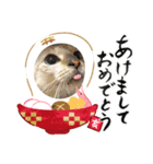 保護っ子スタンプ♡（個別スタンプ：6）