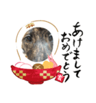保護っ子スタンプ♡（個別スタンプ：11）