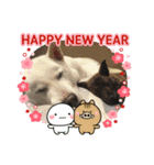 保護っ子スタンプ♡（個別スタンプ：13）