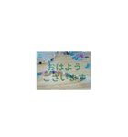 綺麗（個別スタンプ：2）