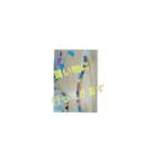綺麗（個別スタンプ：14）