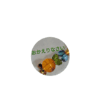 綺麗（個別スタンプ：20）