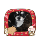 まろきゆあけおめ（個別スタンプ：2）