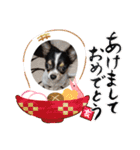 まろきゆあけおめ（個別スタンプ：8）