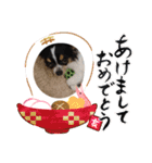 まろきゆあけおめ（個別スタンプ：9）