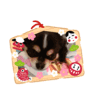 まろきゆあけおめ（個別スタンプ：10）