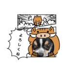 まろきゆあけおめ（個別スタンプ：15）