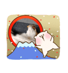 まろきゆあけおめ（個別スタンプ：16）