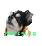 まろきゆあけおめ（個別スタンプ：23）