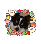 まろきゆあけおめ（個別スタンプ：24）