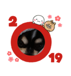 まろきゆあけおめ（個別スタンプ：26）