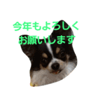 まろきゆあけおめ（個別スタンプ：28）