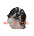 まろきゆあけおめ（個別スタンプ：32）