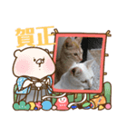 雪慶ニャーズ 正月Ver.（個別スタンプ：5）