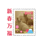 雪慶ニャーズ 正月Ver.（個別スタンプ：6）